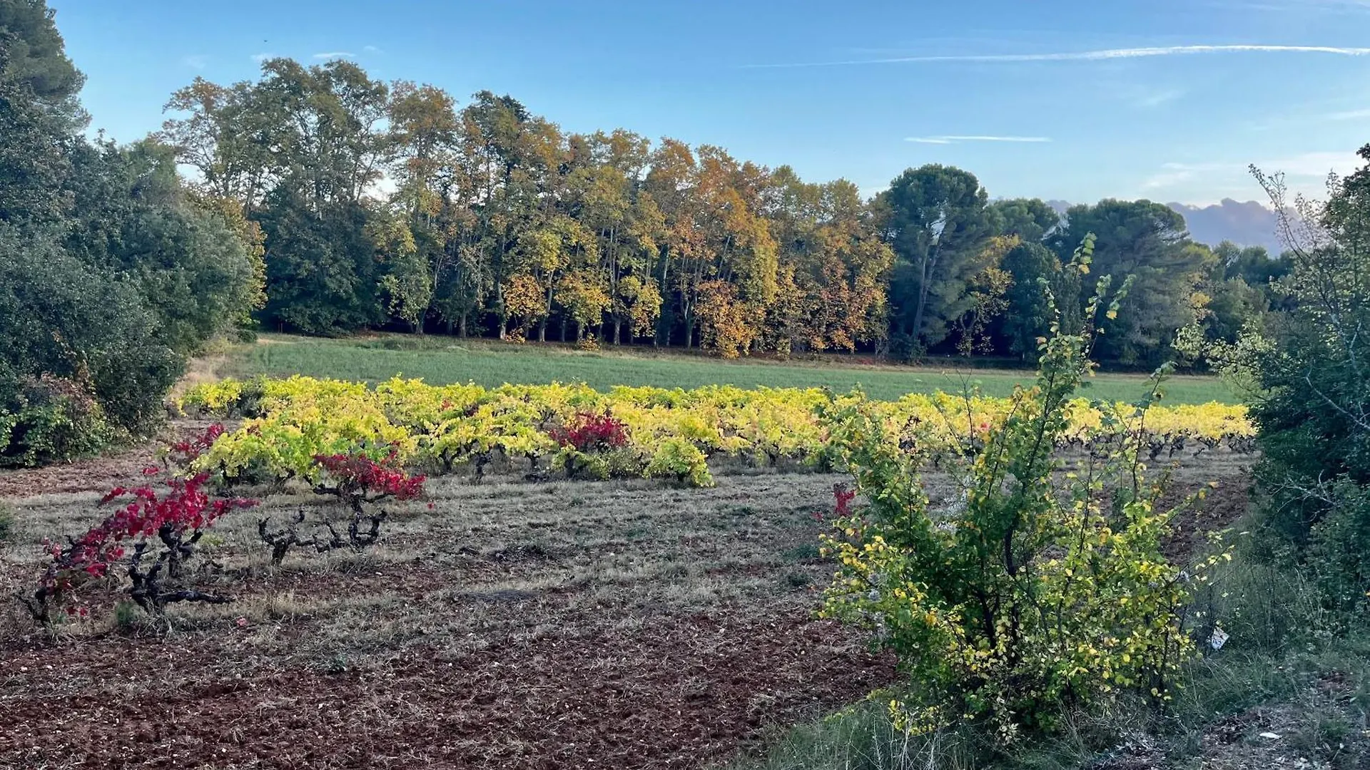 Lägenhet Maison Provencale Au Calme De La Campagne Avec Jacuzzi Aix-en-Provence Frankrike