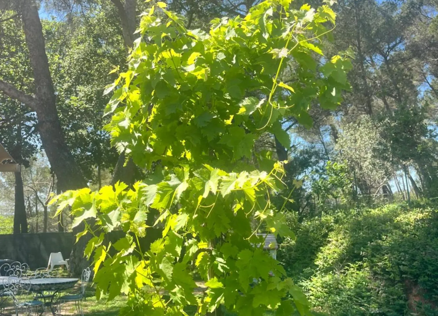 Lägenhet Maison Provencale Au Calme De La Campagne Avec Jacuzzi Aix-en-Provence Frankrike